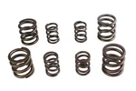 Sifton Valve Spring For Harley-davidson. Fixed Price $62.99.