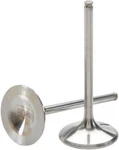 Del West Exhaust Valve Titanium DW-RMZ250-EV04. Fixed Price $171.55.
