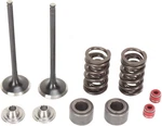 Moose Offroad Honda CRF250R M30-31860 Stainless Steel Valve And Spring Conversio. Fixed Price $217.95.