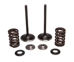 Honda CRF450R Kibblewhite Intake Valve Spring Stainless Conversion Kit 2009-2012. Fixed Price $159.95.