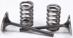 Pro X 28.SIS1405-2 Steel Valves And Spring Kits Intake. Fixed Price $143.95.