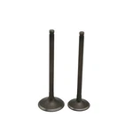 Intake & Exhaust Valves For Kawasaki 2004-2016 KX250F 12005-0002 12004-0033. Fixed Price $28.26.