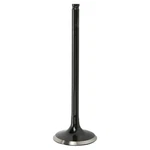 Kibblewhite Precision Black Diamond Intake Valve 30-30910. Fixed Price $34.19.