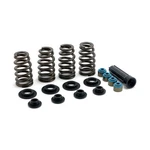 Manley Valve Spring Kit. Steel. Lift From Std To .600''. Fixed Price $371.30.