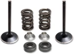 Kibblewhite 80-81100 Valve Spring Kit For Yamaha. Fixed Price $167.35.