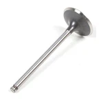 Pro Steel Intake Valve CSB1WUJ-X001-Y002. Fixed Price $21.62.