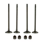 Pair Intake Exhaust Valves Stem For Kawasaki KLX300 1997-2007 KLX250 1992-2015. Fixed Price $73.59.