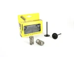 Pro-x Racing Kit Valve+spring KTM350, Prox 28.SIS6351-2 Intake. Fixed Price $227.21.
