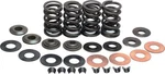 Kibblewhite Valve Spring Kit .415IN. Lift 20-20435 Old. Fixed Price $128.99.