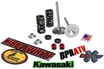 Kawasaki KX250F Kibblewhite Stainless Intake Valves Springs Red Seals Kit '04-16. Fixed Price $165.94.