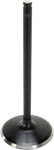 Kibblewhite Black Diamond Intake Valve Standard 82-82462. Fixed Price $36.42.