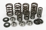 Kibblewhite Valve Spring Kit 80-8000 YFM350. Fixed Price $95.99.