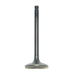 Oem Grade Yamaha TT600 XT600 SRX600 Grizzly Intake Valve 1VJ-12111-00-00. Fixed Price $102.99.