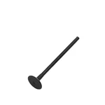 2013 2021 Genuine Kawasaki Ninja 300 Versys X Intake Valve 12004-0716. Fixed Price $35.79.