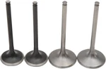 Moose Racing Pro Valve Kits 0926-2584. Fixed Price $259.95.