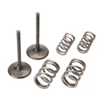 Pro X 28.SIS4409-2 Steel Intake Valve/spring Kit. Fixed Price $149.99.