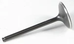 Kpmi 60-60310 Black Diamond Intake Valve. Fixed Price $47.37.