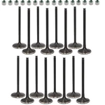 16PCS Engine Intake Exhaust Valves For Yamaha YZF-R6 2006-2024 2007 2008 2009. Fixed Price $218.75.