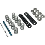Feuling Oil Pump Corp. 0926-2974 1108 Beehive Valve Spring Kit Endurance. Fixed Price $609.95.