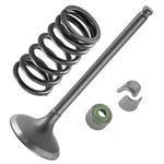 Intake Valve Kit For Yamaha 5TA-12111-00-00 5TA-12113-00-00 1WG-12118-00-00. Fixed Price $18.98.