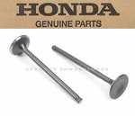 Intake Valve Set 87-92 TRX250X 93-09 TRX300EX Honda 14711-HC0-000 New #W152. Fixed Price $104.65.