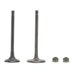 Head Intake Exhaust Valves Seals For Cg 250CC Pit Bike Dirt Atv Quad Bashan. Fixed Price $14.88.