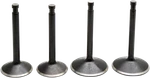 Kibblewhite Engine Valve Kit 20-22300. Fixed Price $139.99.