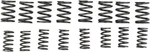 Kibblewhite Valve Spring Kit 40-0449 For Kawasaki KZ1000. Fixed Price $71.49.