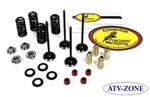 Kibblewhite Valves With Spring Kit And Guides Honda Trx 450R 2004-2005. Fixed Price $346.04.