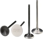 Moose Racing Pro Intake Exhaust Valve Kit For Honda Crf 250 04-07 0926-2576. Fixed Price $274.95.
