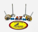 Arctic Cat Replacement Kibblewhite Intake Exhaust Valves & Seals. Fixed Price $107.31.