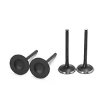 Intake & Exhaust Valves For Kawasaki 09-15 12004-0034 12005-0049. Fixed Price $43.65.