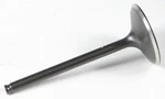 Kpmi 60-60310 Black Diamond Intake Valve. Fixed Price $46.21.