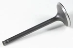 Kpmi 40-40656 Black Diamond Exhaust Valve. Fixed Price $40.27.