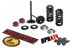 13-18 Ktm 450 Xc-f Sx-f Husky Kibblewhite Titanium Springs Intake Valves Kit. Fixed Price $168.88.