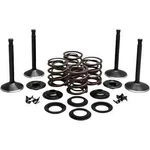 Kibblewhite Complete Black Diamond Engine Valve Kit Harley Ul Twin 37-47. Fixed Price $234.51.