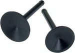 S&s Cycle 90-2015 Intake Valve 1.95" Big Twin. Fixed Price $90.95.