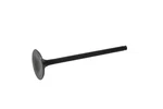New Oem Kawasaki 12004-1098 Intake Valve Nos. Fixed Price $49.99.