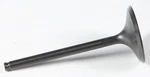 Kpmi 40-40312 Black Diamond Intake Valve. Fixed Price $47.37.