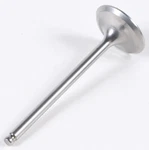 Wiseco Center Intake Valve VIT008C. Fixed Price $99.99.