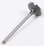 Pro X Steel Engine Valves Intake 28.1226-2. Fixed Price $20.99.