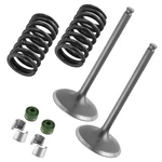 2X Intake Valve Kit For Yamaha 1SL-12111-00-00 33D-12113-00-00 51Y-12119-00-00. Fixed Price $30.99.
