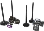 Wiseco Garage Buddy Valve Set - SVKB4335. Fixed Price $309.99.
