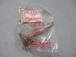 Nos Kawasaki Oem Intake Valve 1978-1979 KZ400 12004-1001. Fixed Price $55.99.