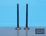 Suzuki 80-83 Oem GS750 Cylinder Head Exhaust Valves (2 Pc) -c-. Fixed Price $24.99.
