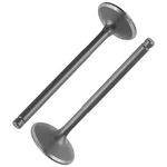 Engine Exhaust & Intake Valves For Polaris Phoenix 2005 2006 2007-2026 Atv. Fixed Price $21.00.