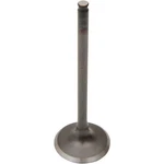 Pro X Intake Valve 28.1227-2 Steel Oem Replacement. Fixed Price $24.64.