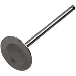 Del West Intake Valve DW-RMZ250-IV10. Fixed Price $158.26.