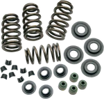 & Cycle Sidewinder Valve Spring Kit 106-5909. Fixed Price $252.79.