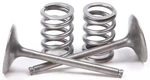 Pro X Steel Intake Valve And Spring Kit Set For Suzuki RMZ450 2007. Fixed Price $129.99.